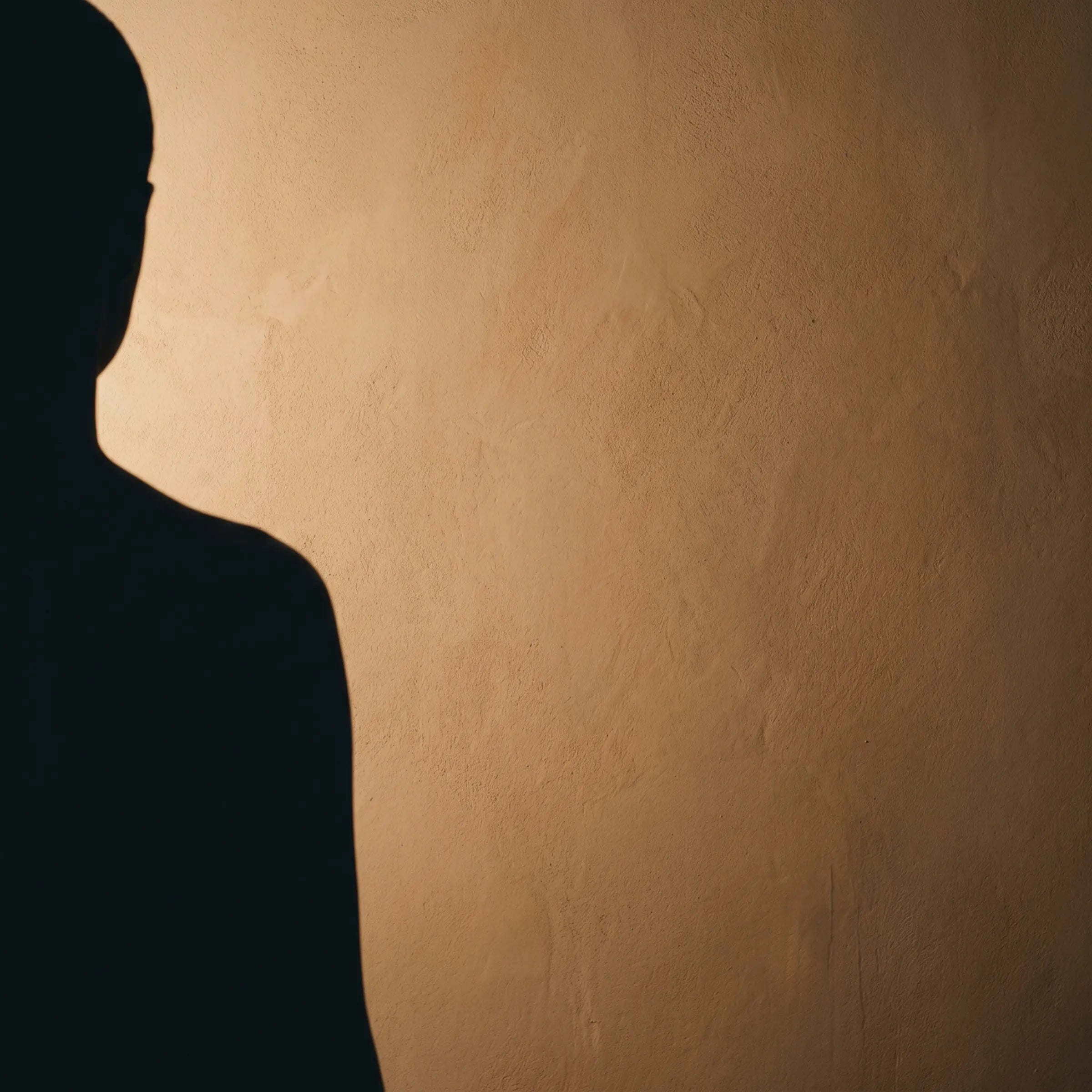 Silhouette in shadow, partial, abstracted